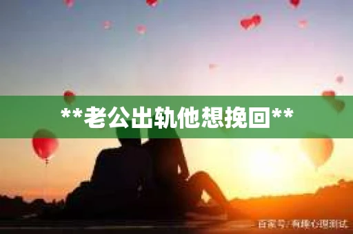 **老公出轨他想挽回**
