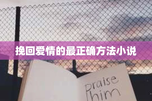 挽回爱情的最正确方法小说