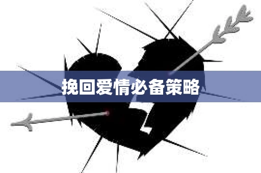 挽回爱情必备策略