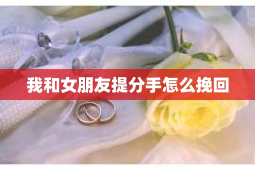我和女朋友提分手怎么挽回
