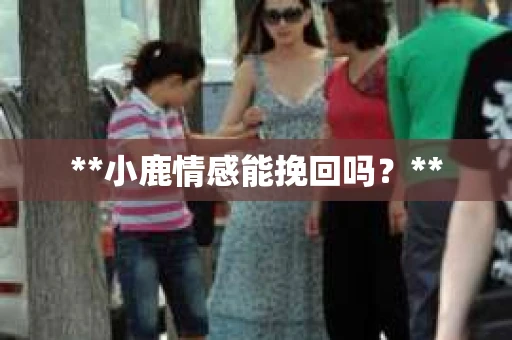 **小鹿情感能挽回吗？**