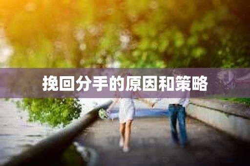 挽回分手的原因和策略