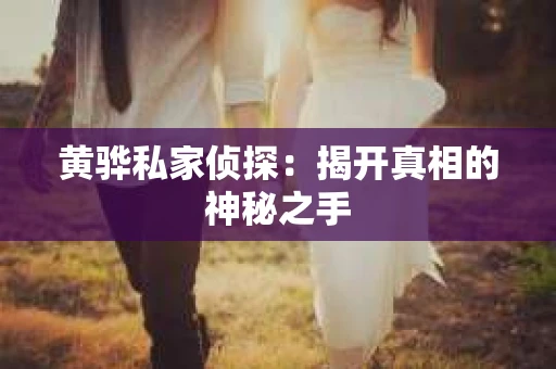 黄骅私家侦探:揭开真相的神秘之手 黄骅私家侦探:揭开真相的神秘之手