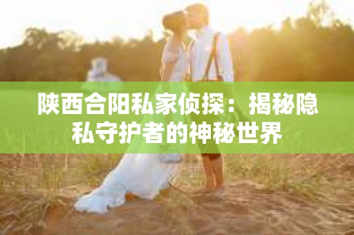 陕西合阳私家侦探：揭秘隐私守护者的神秘世界