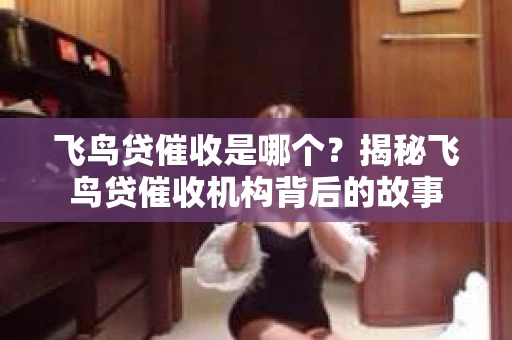飞鸟贷催收是哪个？揭秘飞鸟贷催收机构背后的故事