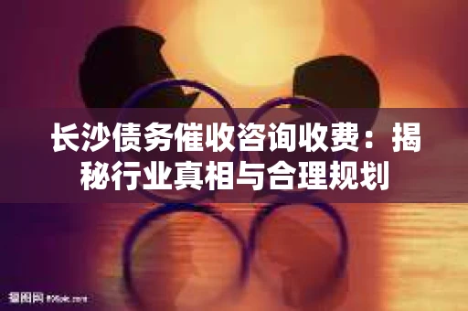 长沙债务催收咨询收费：揭秘行业真相与合理规划
