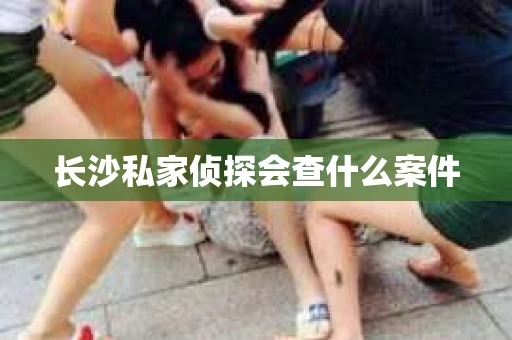长沙私家侦探会查什么案件