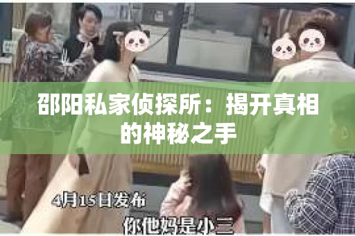 邵阳私家侦探所：揭开真相的神秘之手