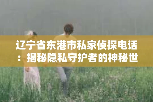 辽宁省东港市私家侦探电话：揭秘隐私守护者的神秘世界