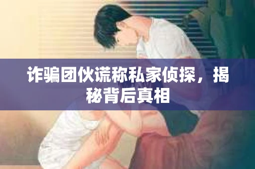 诈骗团伙谎称私家侦探，揭秘背后真相