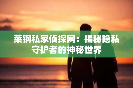 莱钢私家侦探网：揭秘隐私守护者的神秘世界