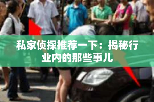 私家侦探推荐一下：揭秘行业内的那些事儿