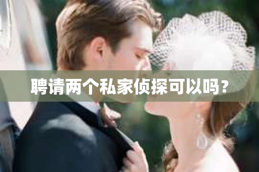 聘请两个私家侦探可以吗？
