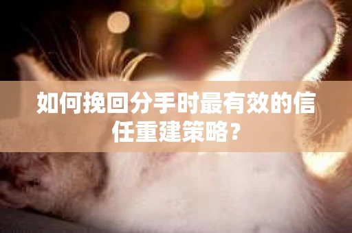 如何挽回分手时最有效的信任重建策略？