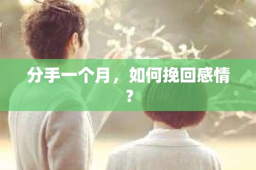 分手一个月，如何挽回感情？